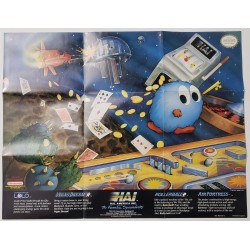 Poster HAL-NES-US-2