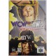 WCW vs NWO World Tour (Nintendo 64, 1997)