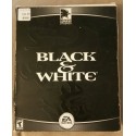 Black & White (PC, 2001)